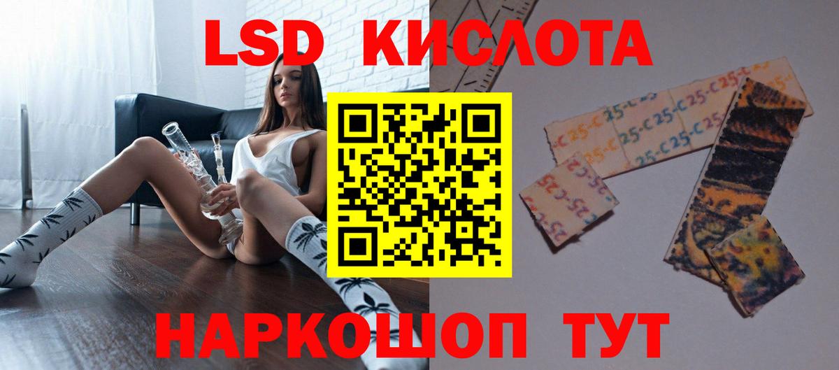Бошки Шишки Гусев