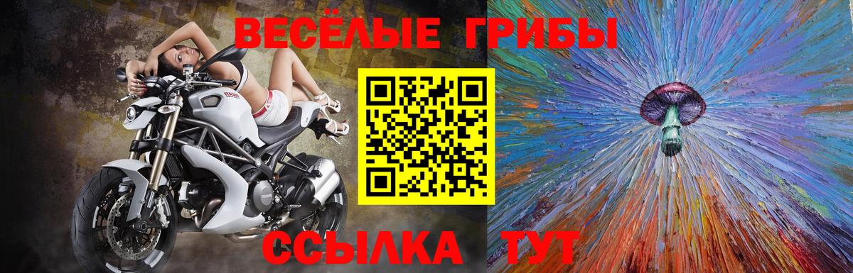 где найти   Галлюциногенные грибы мицелий  Вход с VPN  Гусев  Галлюциногенные грибы прущие грибы 